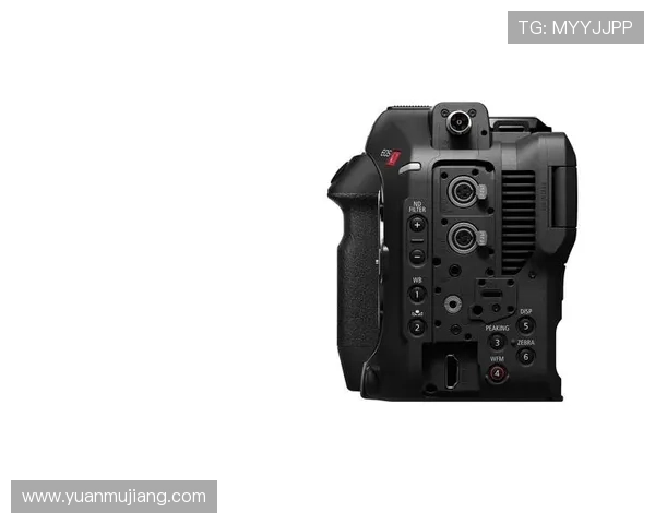 尊龙z6手机版下载官方渠道安全下载指南，确保您的设备安全与游戏顺畅