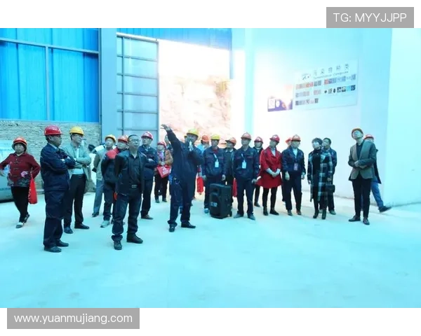 尊龙网站登录入口无法访问怎么办详细解决方案与常见问题解析